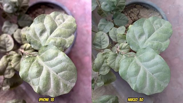 iphone 13 vs Realme narzo 50 Camera Comparison смотреть онлайн