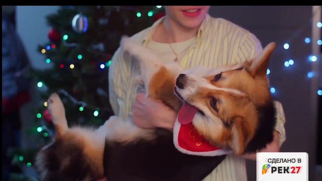 Новый Год с "Раз Два": рекламный ролик для сети минимаркетов смотреть онлайн