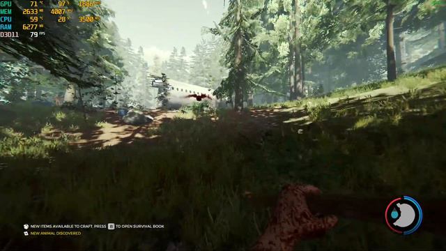 The Forest - GTX 1060 3Gb - Ryzen 5 1600AF - 16Gb RAM [Benchmark / Gameplay] смотреть онлайн