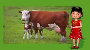 ✔️Домашние животные Детям о животных