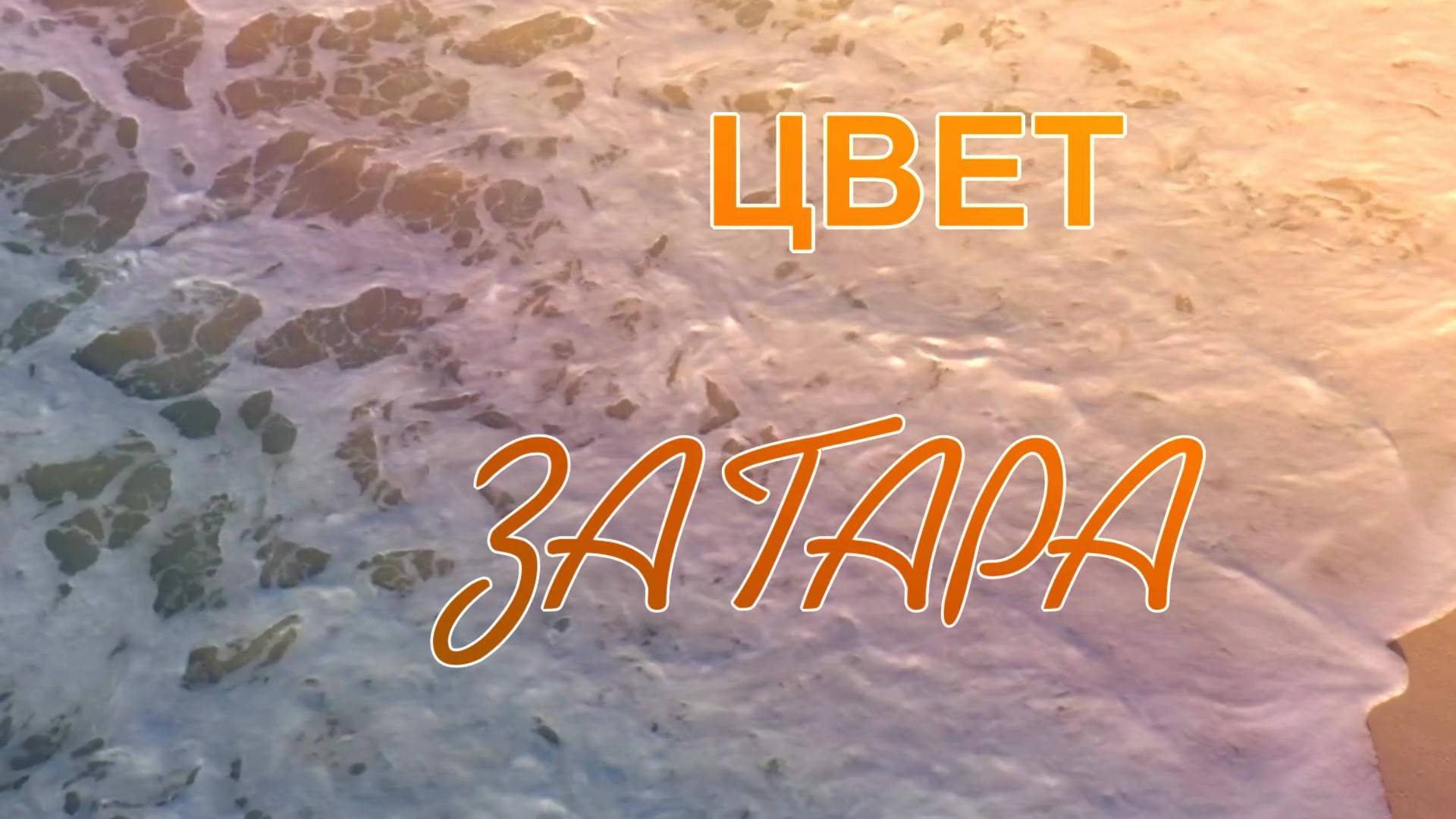 ЦВЕТ ЗАГАРА. Поёт Виталина Красницкая смотреть онлайн