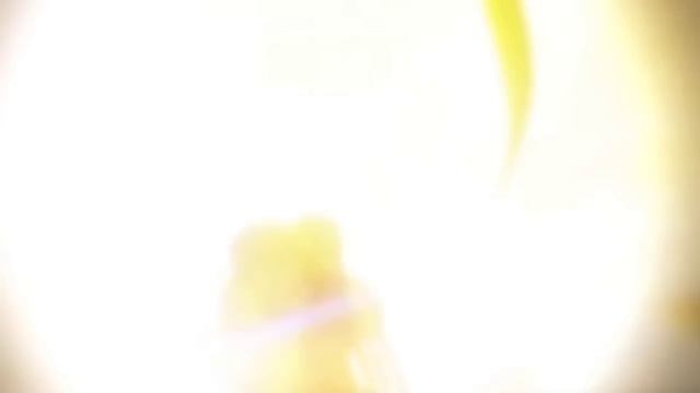 Satoru Gojo vs Toji Fushiguro - Jujutsu Kaisen Season 2 