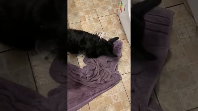 ХОЗЯЮШКА. СКЛАДЫВАЕТ ВЕЩИ смотреть онлайн