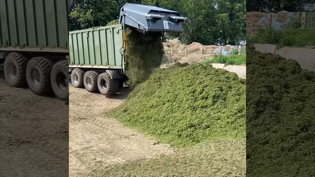 Заготівля сінажу люцерна смотреть онлайн
