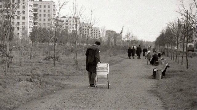 Почему сажали тополя в сталинские времена? смотреть онлайн