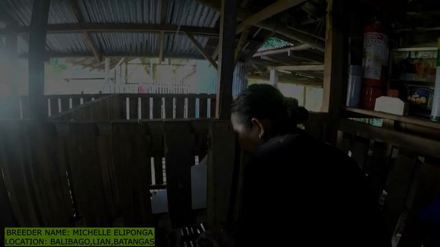 PT 2 FARM VISIT SA LADY GOAT BREEDER NG MM BACKYARD ATE MICHELLE ELIPONGA/GOAT FARMING PHILIPPINES смотреть онлайн