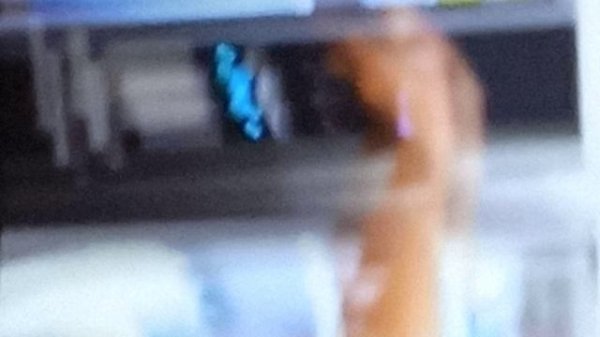 наш бешаный ?