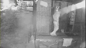 абхазия гудаута бамбора отзывы