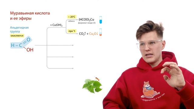Задание №15 | Свойства и получение кислородсодержащих | ЕГЭ по химии 2024 смотреть онлайн