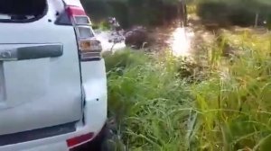 Съездил на рыбалку. Убил авто новый прадик