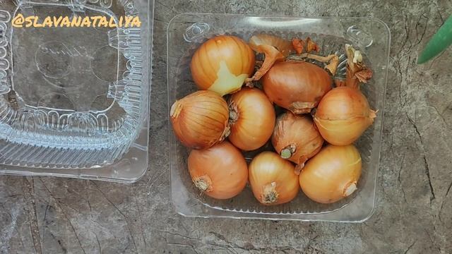 Лук Круглый Год/Выращивание Лука на Зелень без Земли/Чисто Проект/Дачница Натали @natalifrol смотреть онлайн