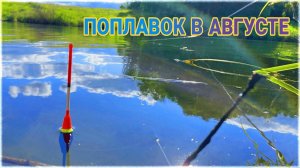 РЫБАЛКА НА ПОПЛАВОК ЛЕТОМ! ЛОВЛЯ ПЛОТВЫ НА ПОПЛАВОК | РЫБАЛКА НА ПРУДУ | Рыбалка 2023