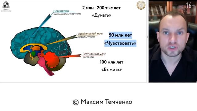 Твои Мозги - Твоё Богатство! Мышление Миллионера //16+