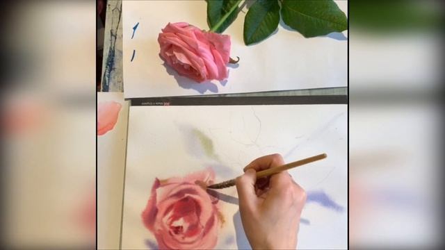 Watercolor flower sketch | Rose | by Eugenia Gorbacheva | Скетч акварель смотреть онлайн