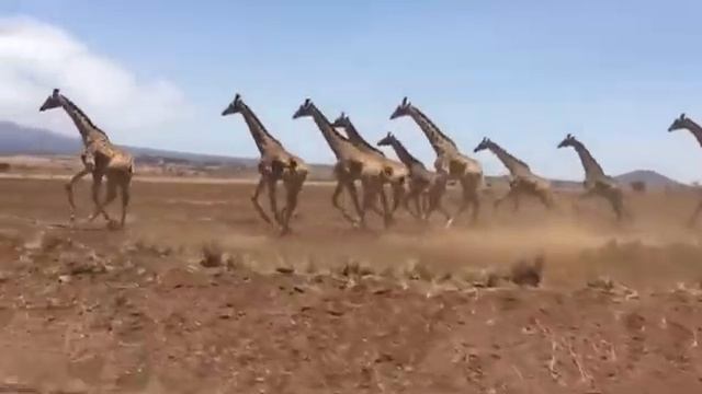 Путешествия во времени