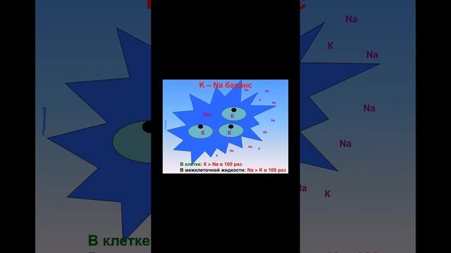 Вода и снижение веса.