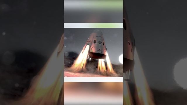 Куда нам податься, если некуда деваться? #shorts смотреть онлайн