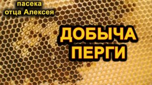 Перга (пчелиный хлеб). Добыча перги.