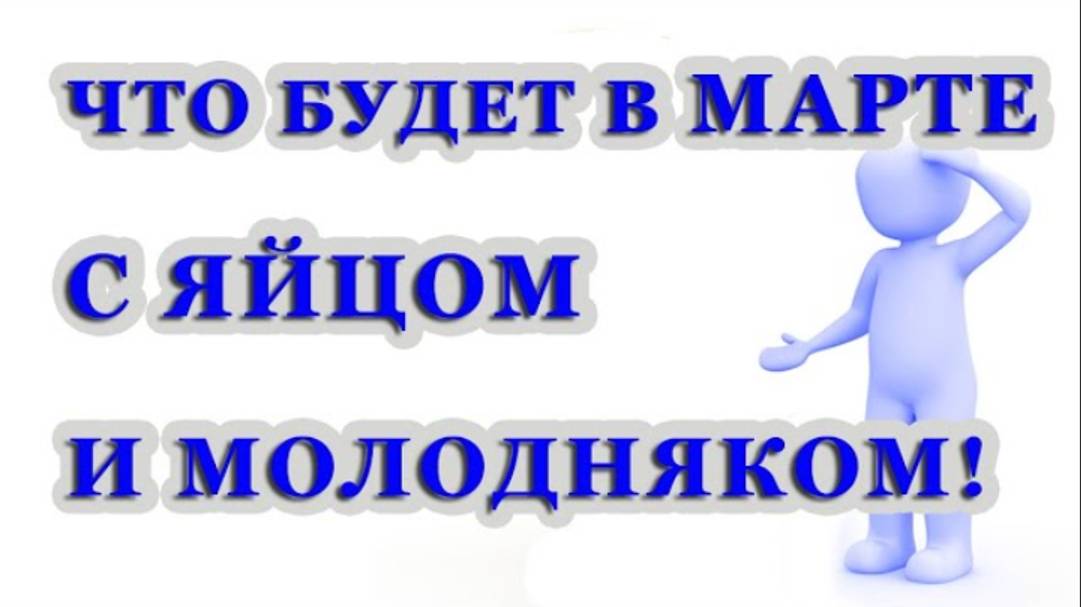 Отчет по яйцу и молодняку. Конкурс отложим? смотреть онлайн