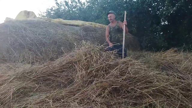 ЛОШАДИ/У САН САНЫЧА СЕНА МНОГО НЕ БЫВАЕТ!!! смотреть онлайн