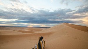 Музыка пустыни. Волшебство природы. DESERT Music