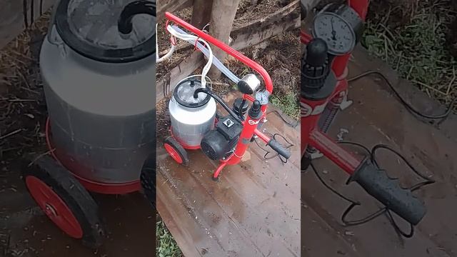 купили турецкое Феррари для коров смотреть онлайн