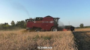 Новые комбайны Полесье ГС12 Делюкс в поле. Уборочная 2023 в Липецкой области. Измалковский район