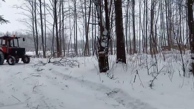 Заготовка дров 2021. Т-25 смотреть онлайн