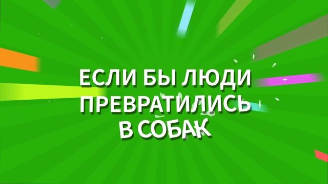 ЕСЛИ БЫ ДИЕТА БЫЛА ЧЕЛОВЕКОМ || Смешные превращения от 123 GO! GOLD смотреть онлайн