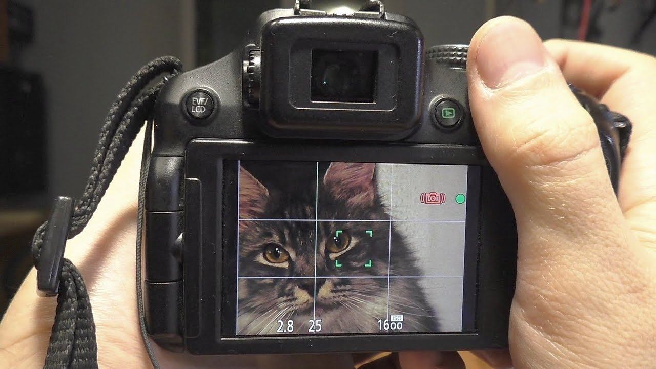 Посылочка от Евгения Матвеева: сломанная фотокамера Panasonic FZ200 смотреть онлайн