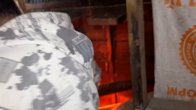 ВЬЕТНАМСКИЕ СВИНЬИ РАЗВЕДЕНИЕ смотреть онлайн