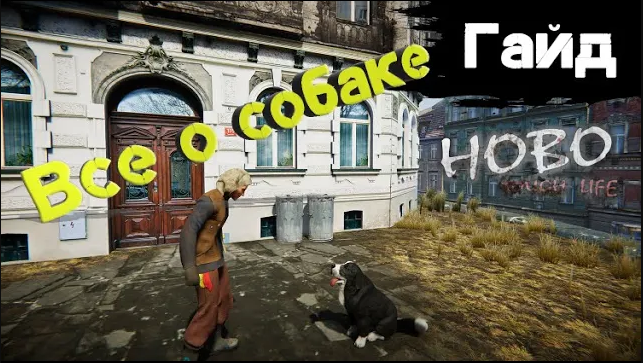 Hobo: Tough life - Гайд - Все о собственной собаке смотреть онлайн