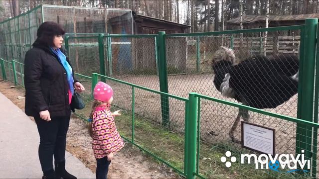 19.10.2019 Орловское полесье. смотреть онлайн