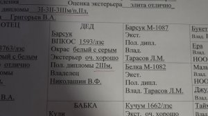 Происхождение собак Удмуртского питомника ЗСЛ. Часть 2