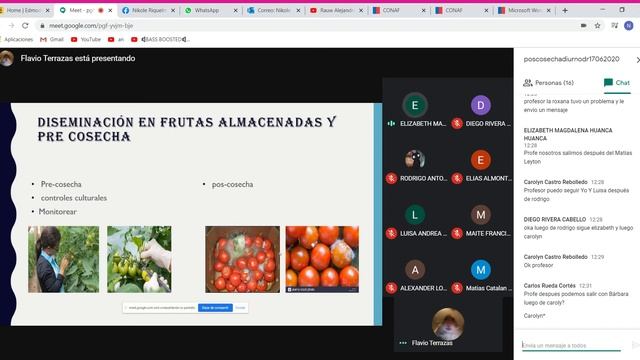 Flavio y eli botrytis смотреть онлайн