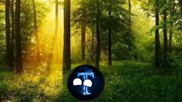 ШАЙЛУШАЙ - Но это я смотреть онлайн