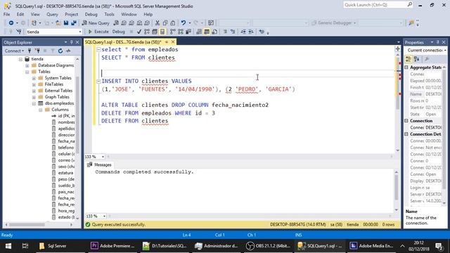 17 - Eliminar Registros: Comando DELETE [SQL Server 2017]