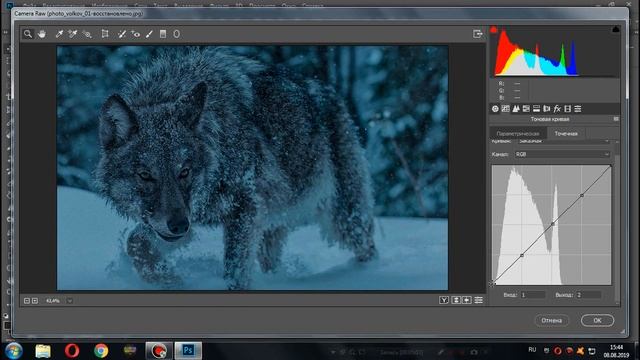 Обработка фото в холодных тонах в Photoshop |Color correction in Photoshop in black tones смотреть онлайн