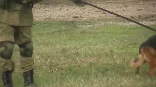 Роботизированный комплекс разминирования "Уран-6" смотреть онлайн