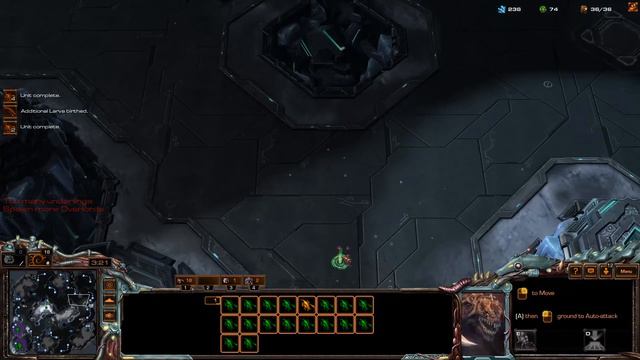 Starcraft 2: Gold to Diamond - Random Race Series Part 1 смотреть онлайн