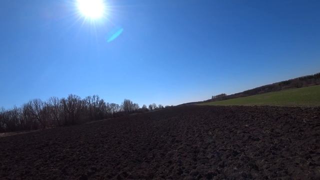 РАЙ КЛАДОИСКАТЕЛЮ МОНЕТ СКОЛЬКО ХОЧЕШЬ ТОЛЬКО КОПАЙ! смотреть онлайн