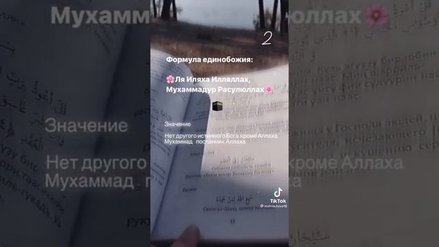 8 Фарз которые должен знать каждый мусульманин ☝☝☝☝ смотреть онлайн