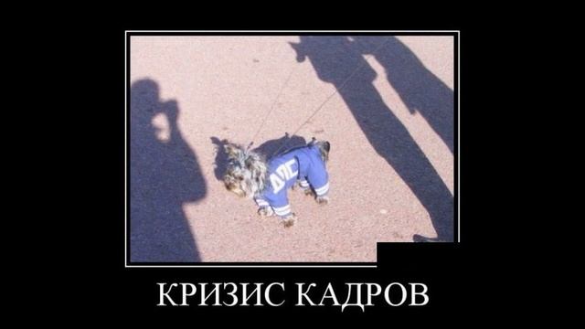 СашаХам - Работникам отделов кадров посвящается смотреть онлайн