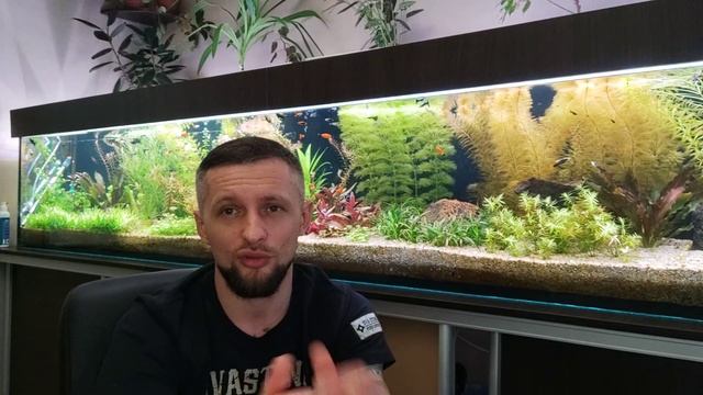 ВОПРОС / ОТВЕТ микро-, макро-, объем для выростника, баланс после прополки, лялиус молодой старик смотреть онлайн