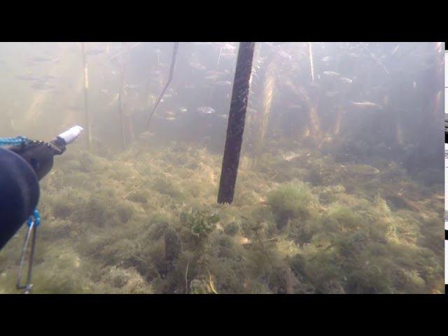 Удачный выстрел смотреть онлайн