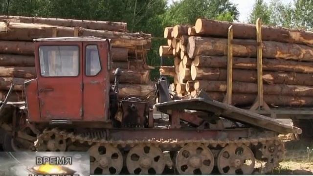 В Рославле выявили факты незаконной вырубки леса.. аж на 7млн.рублей!!! смотреть онлайн