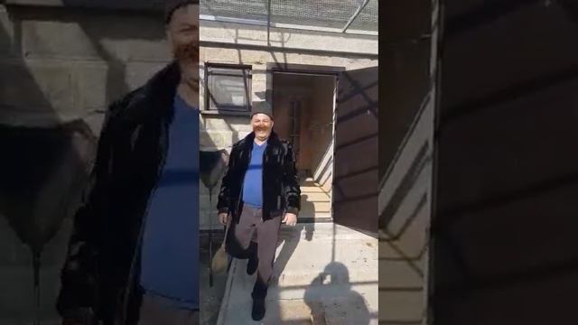 Голуби Хасана Алматы! Вацап +77017312696. Розовый Голубь Селекциионый! смотреть онлайн