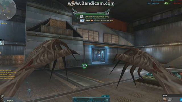 играем в Headshot серия 2!:)Играем с Cate YT!!!!!!! смотреть онлайн