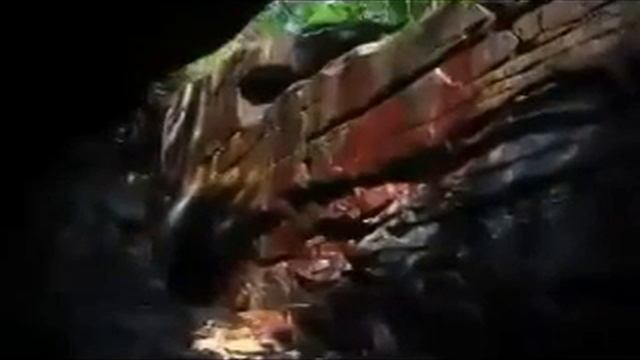 Караязы Гардабани смотреть онлайн