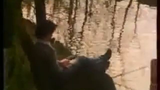 Чарльз Дарвин. Автобиография. Часть 1. смотреть онлайн